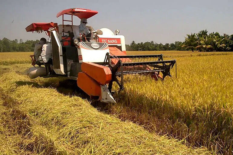 Tác động của công nghệ trong sản xuất gạo hiện đại