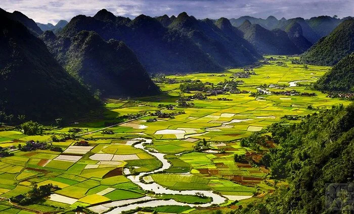 Khám phá các cánh đồng lúa tuyệt đẹp ở châu Á