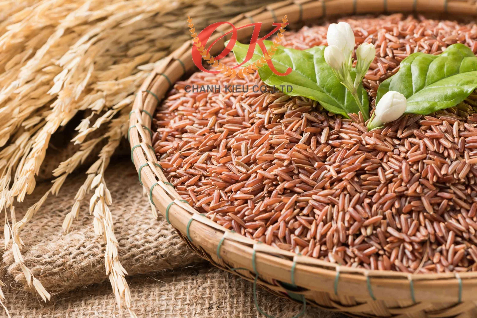 Lứt Đỏ 2