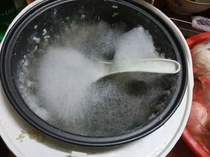 Phân biệt gạo thật và gạo giả đơn giản và chính xác