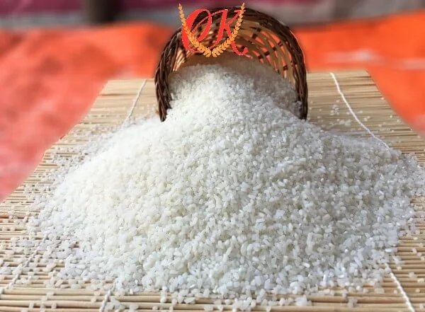 Tam Sari 1