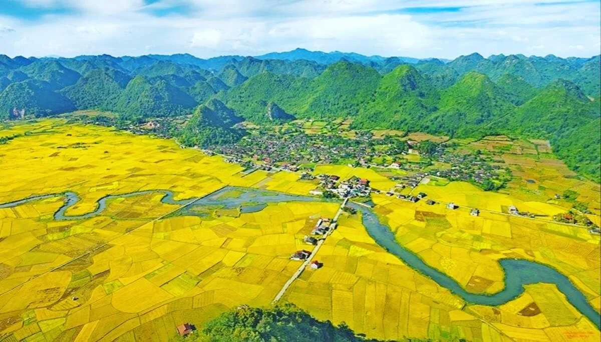 Khám phá các cánh đồng lúa tuyệt đẹp ở châu Á